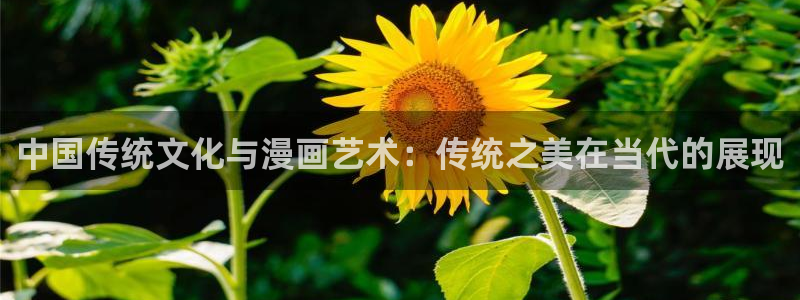 弱点漫画免费下拉式土豪漫画